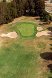 Penrith Golf Club green16