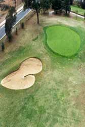 Penrith Golf Club green17