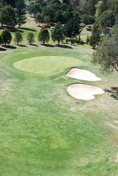Penrith Golf Club green6