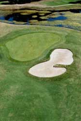 Penrith Golf Club green 8